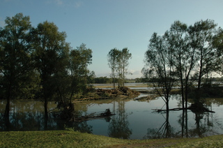 DSC_2540.JPG
