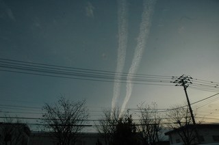 DSC_2915.JPG