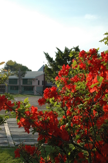 DSC_3299.JPG