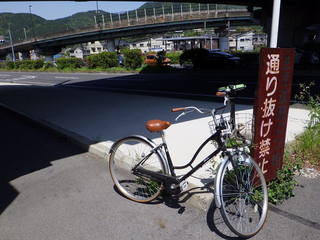 RIMG0807.JPG