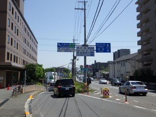 RIMG0819.JPG