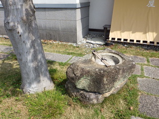 RIMG0929.JPG