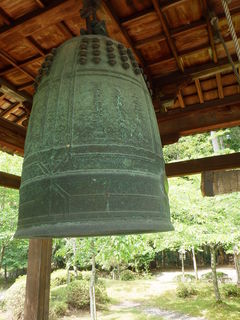 RIMG1007.JPG