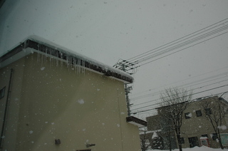 ss_DSC_5829.jpg